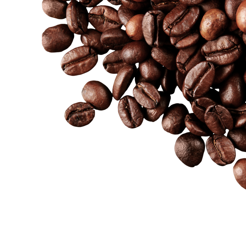 Ethiopian Harrar Coffee (USDA Certified Organic)