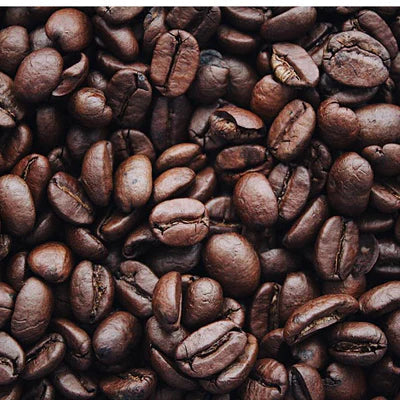 MOTO Coffee (USDA Certified Organic)